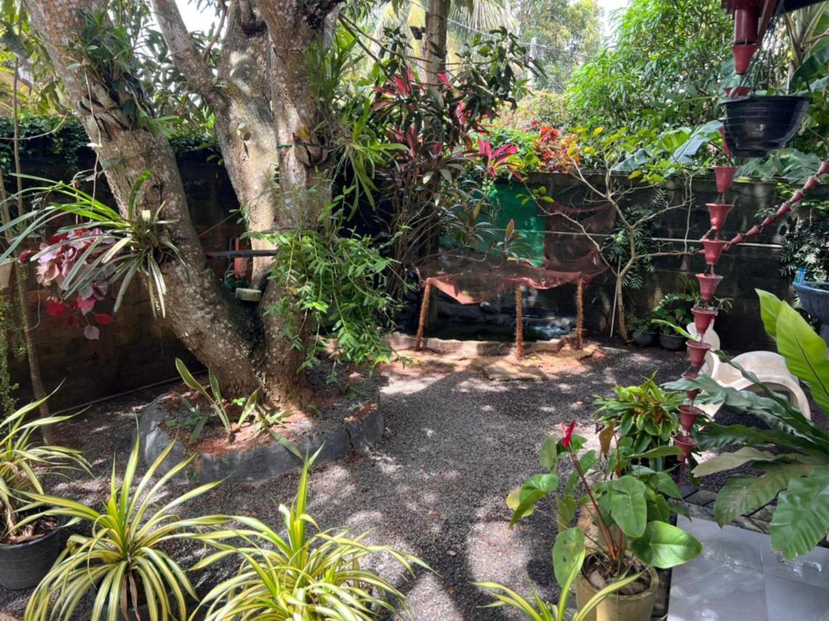 Jungle Reef Rest Hotel Mirissa Exterior photo